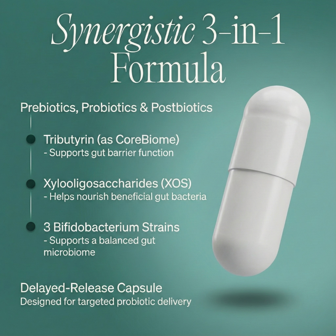 Probiotics – Gut Health Probiotic for Digestive Support and Microbiome Balance